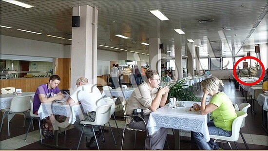 ответы к игре Где же кот Уровень 7805