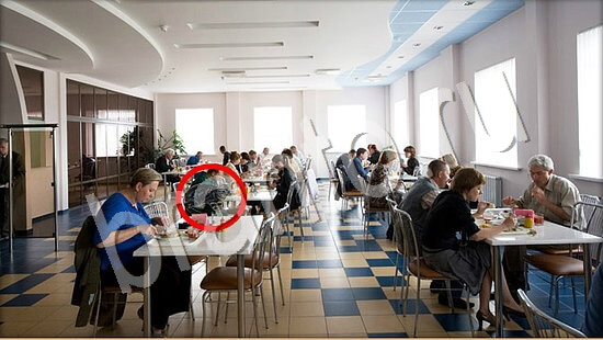 Где же кот игра ответы в одноклассниках Уровень 7807