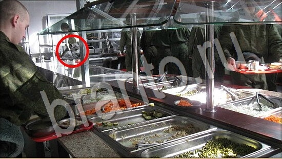 Где же кот? помощь Уровень 7810