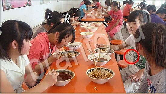 решебник на игру Где же кот Уровень 7811