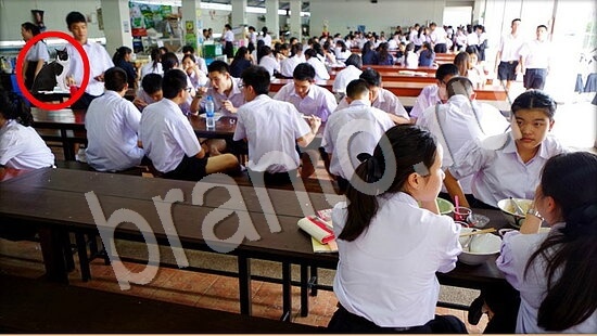 Где же кот? решения Уровень 7812