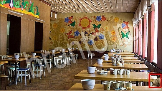 Игра Где же кот ответы Уровень 7817