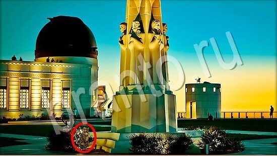 Где же кот прохождение игры Уровень 7822