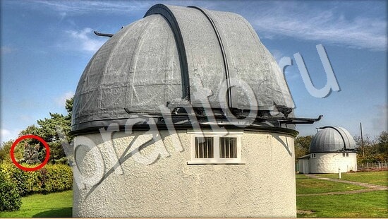 відповіді на игру Где же кот в одноклассниках Уровень 7823