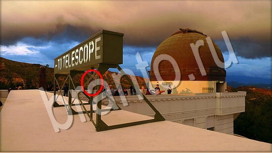 ответы Где же кот Уровень 7825