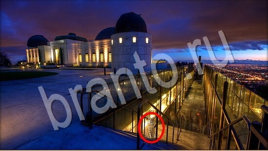 ответы для игры Где же кот Уровень 7827