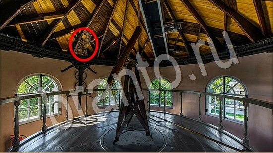 решения для игры Где же кот Уровень 7828