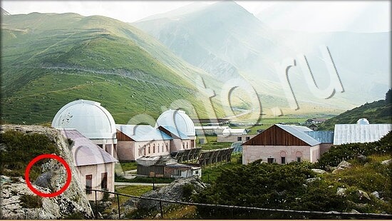 Где же кот ответы на новые задания Уровень 7833