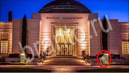 ответы на игру Где же кот Уровень 7834