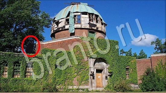 решения на игру Где же кот Уровень 7835