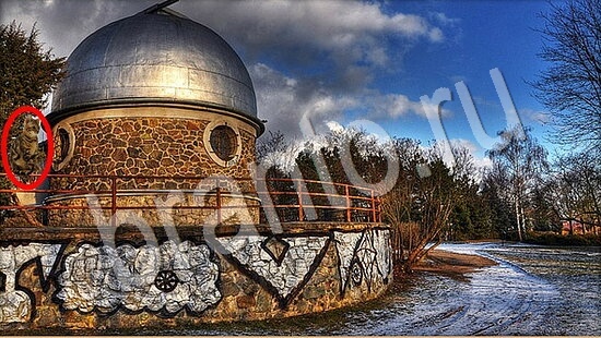 ответы на игру Где же кот Уровень 7836