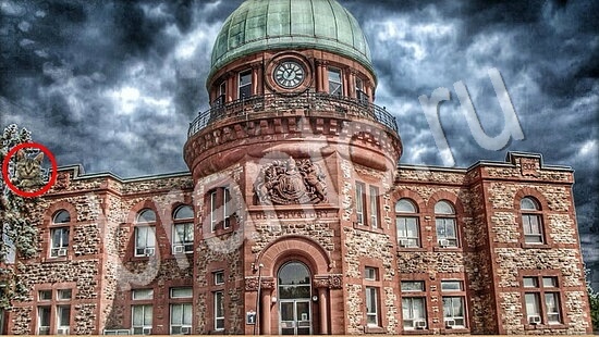 ответы в картинках на игру Где же кот Уровень 7837