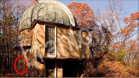 Где же кот ответы в одноклассниках Уровень 7839