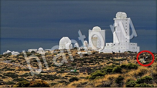 Где же кот игра ответы Уровень 7840