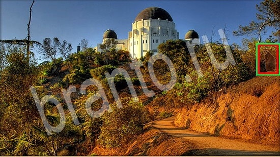 ответы на игру Где же кот Уровень 7841