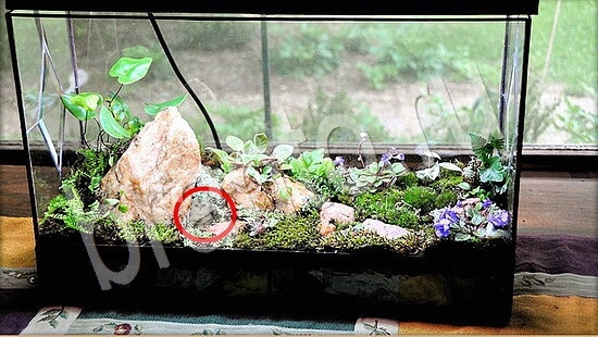 Решения на игру Где же кот Уровень 7843