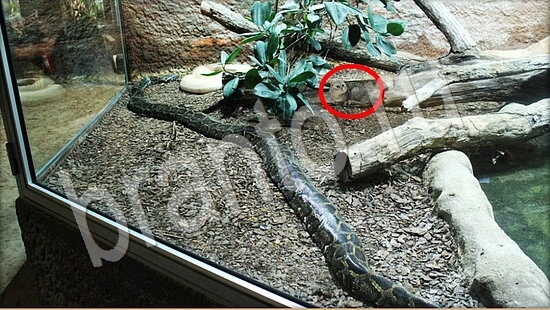 Где же кот? подсказки Уровень 7849