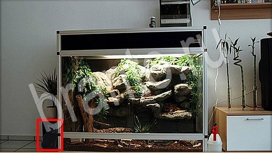 решебник на игру Где же кот Уровень 7851