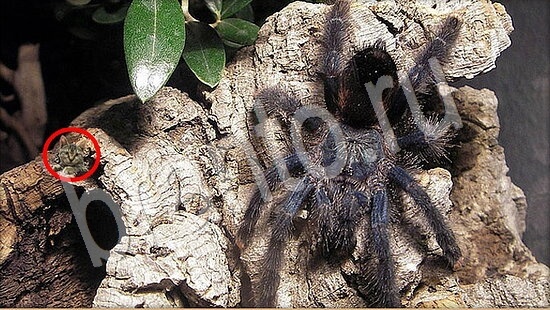 Где же кот игра ответы Уровень 7853