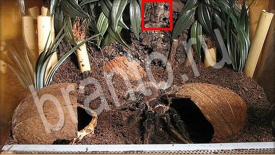 Игра Где же кот прохождение Уровень 7860