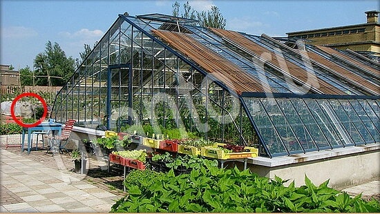 відповіді на игру Где же кот в одноклассниках Уровень 7863