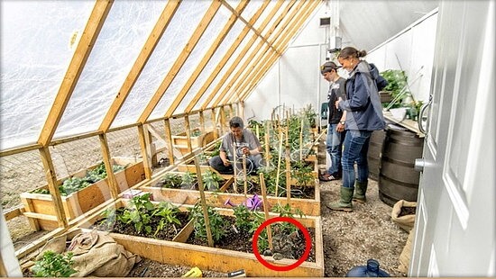 Прохождение игры Где же кот Уровень 7864