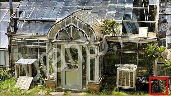 ответы Где же кот Уровень 7865