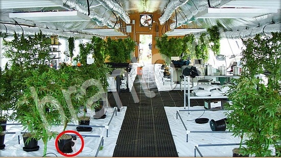 ответы Где же кот? в одноклассниках Уровень 7866