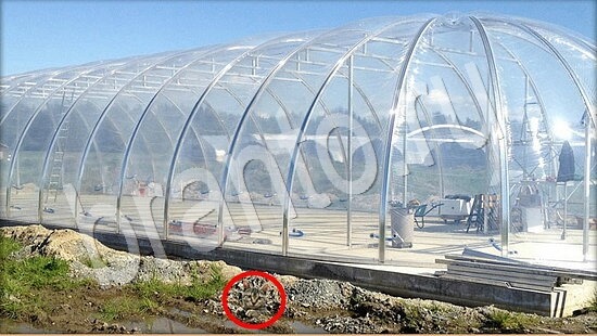 ответы для игры Где же кот Уровень 7867