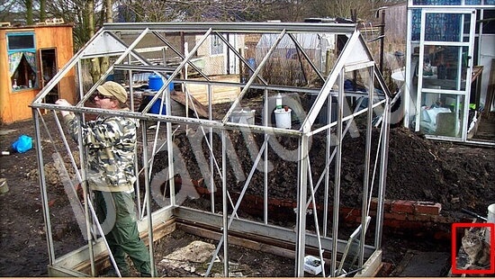 ответы на игру Где же кот в скриншотах Уровень 7872