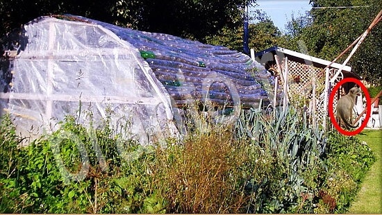 ответы на игру Где же кот Уровень 7874