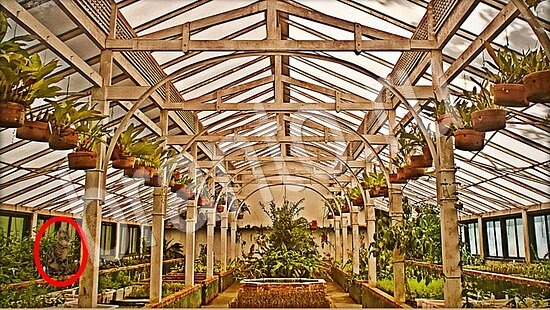 ответы на игру Где же кот Уровень 7881