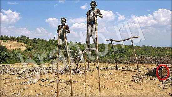 Где же кот прохождение игры Уровень 7902