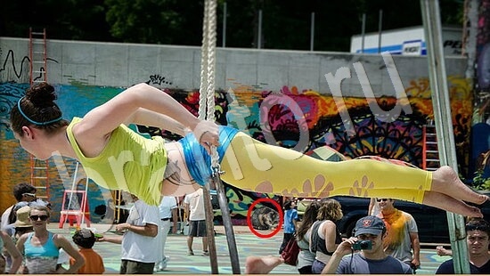 відповіді на игру Где же кот в одноклассниках Уровень 7903