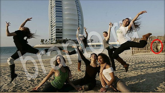 ответы Где же кот? в одноклассниках Уровень 7906