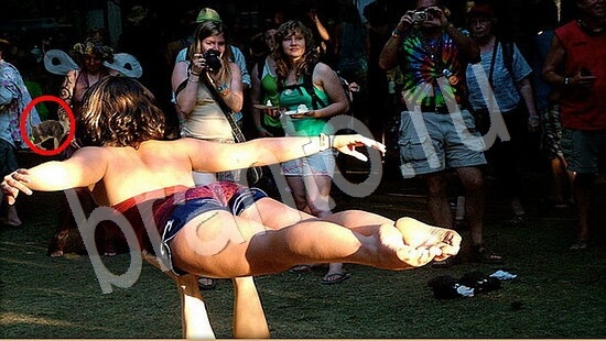 ответы для игры Где же кот Уровень 7907