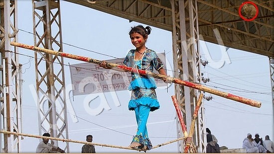 решения для игры Где же кот Уровень 7908