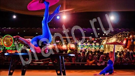 Где же кот игра ответы Уровень 7909