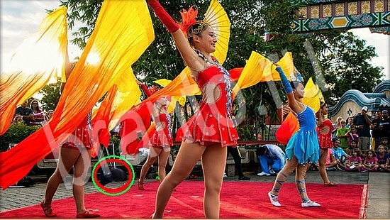 игра в одноклассниках Где же кот ответы Уровень 7910