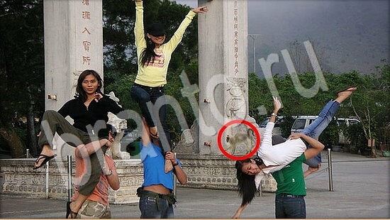 Где же кот помощь в картинках Уровень 7911