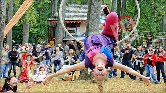 ответы на игру Где же кот в скриншотах Уровень 7912