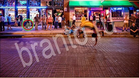 Где же кот ответы на новые задания Уровень 7913