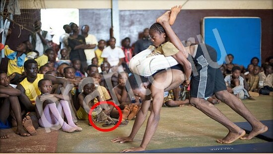 ответы на игру Где же кот Уровень 7914