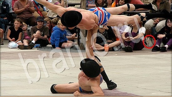 решения на игру Где же кот Уровень 7915