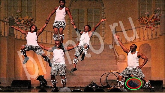 ответы на игру Где же кот Уровень 7916