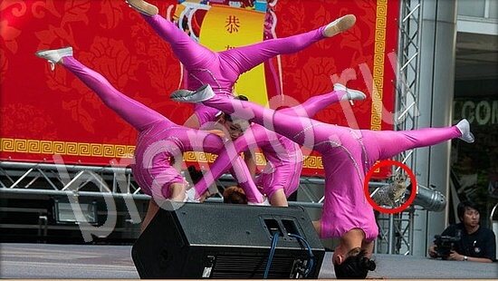 Где же кот игра ответы Уровень 7920