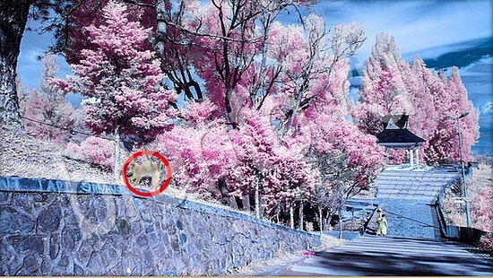 Подсказки на игру Где же кот Уровень 7922