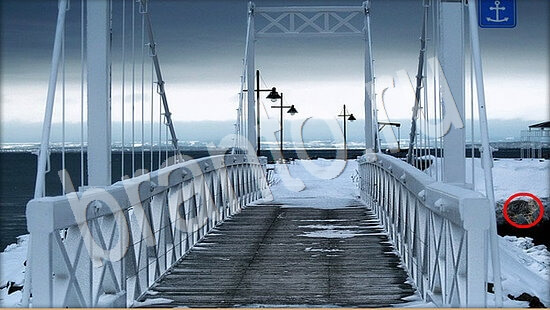 Помощь на игру Где же кот Уровень 7924