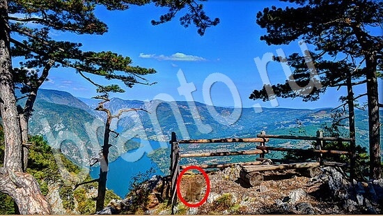 ответы к игре Где же кот Уровень 7925