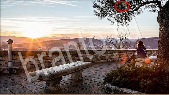 ответы на игру в одноклассниках Где же кот Уровень 7926